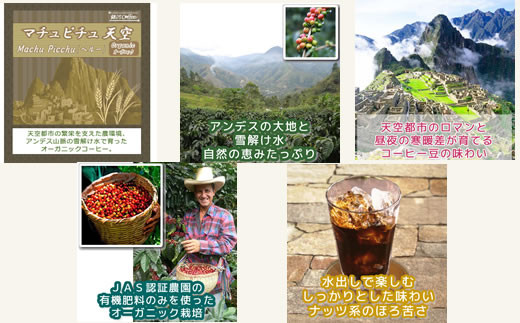 水出し珈琲セット（お手軽版） 世界の高級コーヒー80g×4種 銀河コーヒー ふるさと納税 市川市 返礼品　【12203-0126】