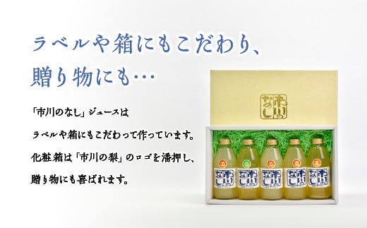 果汁１００％梨ジュース　250ml×5本セット　【12203-0050】