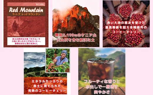 水出し珈琲セット（お手軽版） 世界の高級コーヒー80g×4種 銀河コーヒー ふるさと納税 市川市 返礼品　【12203-0126】