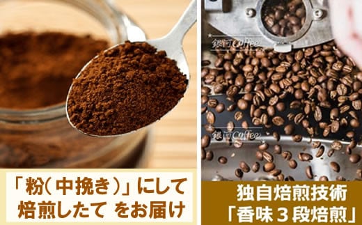 生涯で飲みたい 世界３大珈琲(粉 中挽き)100g×3種 銀河コーヒー　【12203-0104】