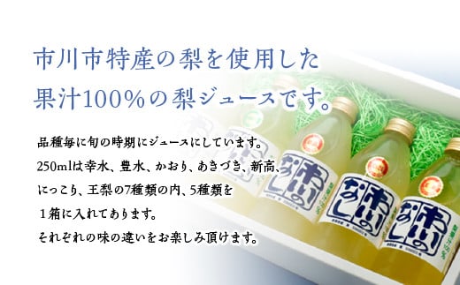 果汁１００％梨ジュース　250ml×5本セット　【12203-0050】