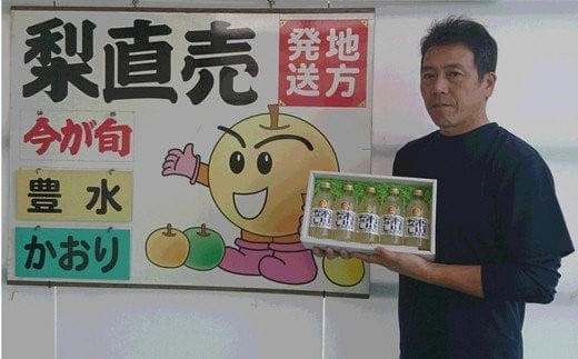 果汁１００％梨ジュース　250ml×5本セット　【12203-0050】