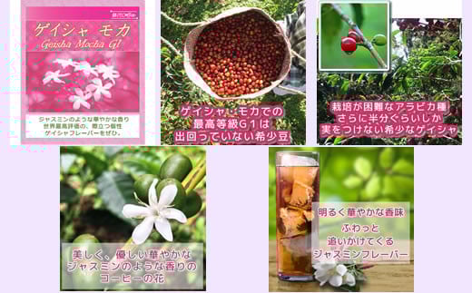 水出し珈琲セット（お手軽版） 生涯で飲みたい 世界３大コーヒー80g×3種 銀河コーヒー ふるさと納税 市川市 返礼品　【12203-0127】