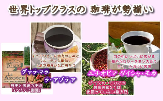 定期便6回 世界一周 高級珈琲（ドリップ式） 銀河コーヒー　【12203-0108】