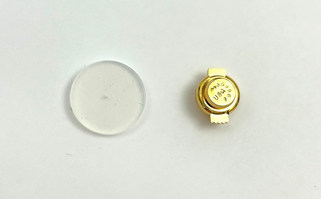 【NOBUKO ISHIKAWA（ノブコイシカワ）】梨の実ラペルピン　【12203-0394】