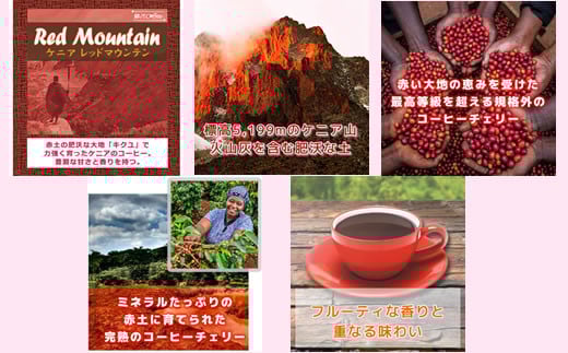 世界の高級コーヒー（粉 中挽）100g×4種 銀河コーヒー　【12203-0101】