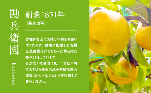 【勘兵衛園】和梨の生搾りジュース　180ml×6本　【12203-0335】