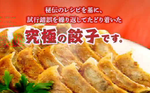 元祖オクタン餃子（焼き餃子18個入×4パック）　【12203-0130】