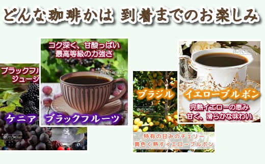 定期便6回 世界一周 高級珈琲（ドリップ式） 銀河コーヒー　【12203-0108】