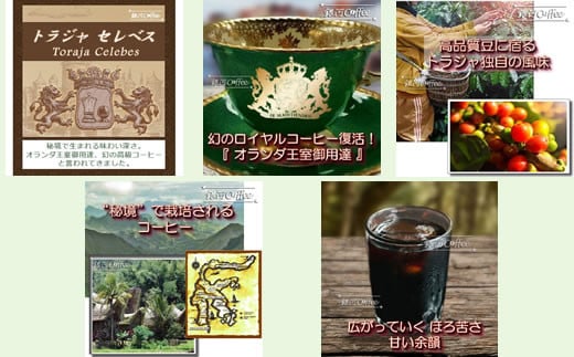 水出し珈琲セット（お手軽版） 世界の高級コーヒー80g×4種 銀河コーヒー ふるさと納税 市川市 返礼品　【12203-0126】