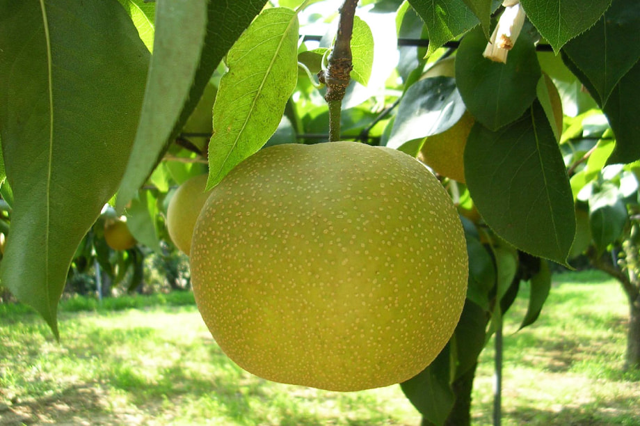 çµæžãæ¯èããäºæ¥