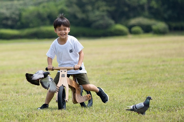 HideЯ Bike（ハイダーバイク・和柄紋様あり）HB-001-W(L103)