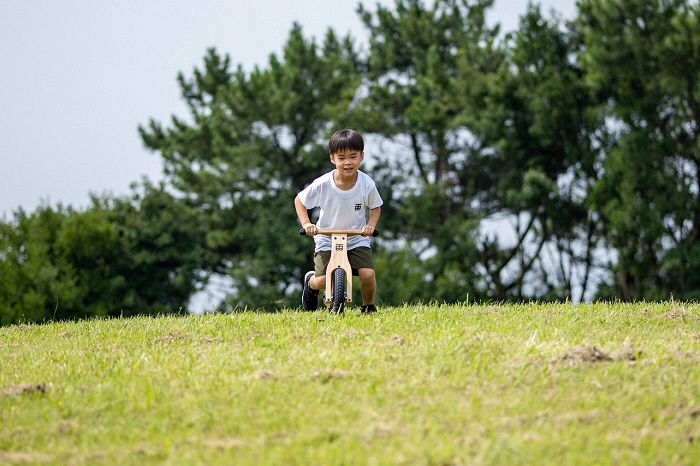 HideЯ Bike（ハイダーバイク・和柄紋様なし）HB-001-P(L104)