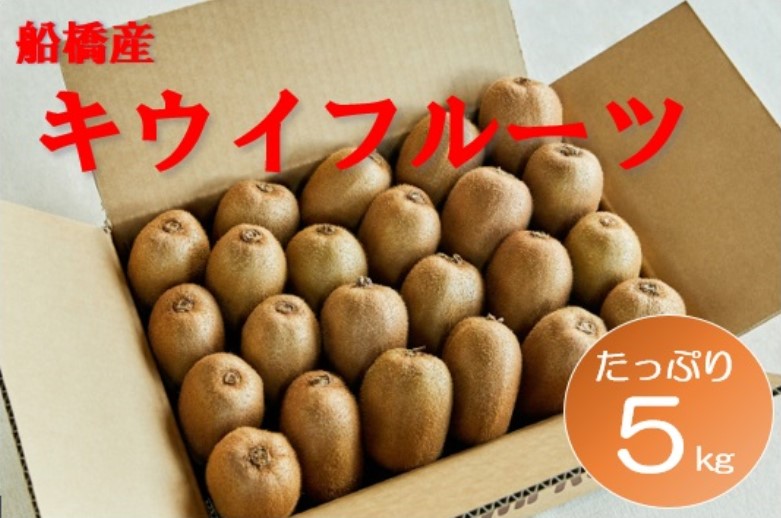 【2月発送分】船橋産キウイフルーツ5.2kg未追熟バラ詰め【傷み補償分約200ｇ込み】 (E04)