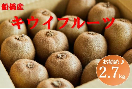 【12月発送分】船橋産キウイフルーツ2.8kg未追熟バラ詰め【傷み補償分約100ｇ込み】(E10)