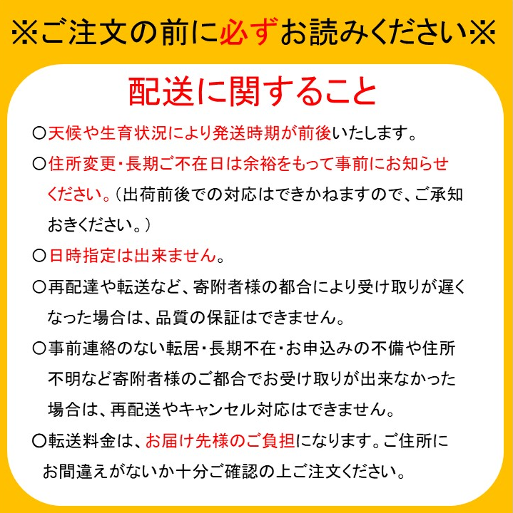 【期間限定：11月以降順次発送】極　高級トマト　クルミちゃん