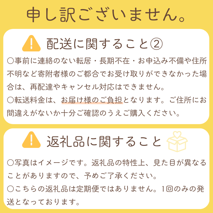 【贈答用】果汁たっぷり極上梨「新興・3kg」（2025年産）　果汁たっぷり　船橋産　9月下旬発送　期間限定　特大級　梨　夏　6-9玉　なし　水菓子　果物　デザート　プレゼント　贈答品