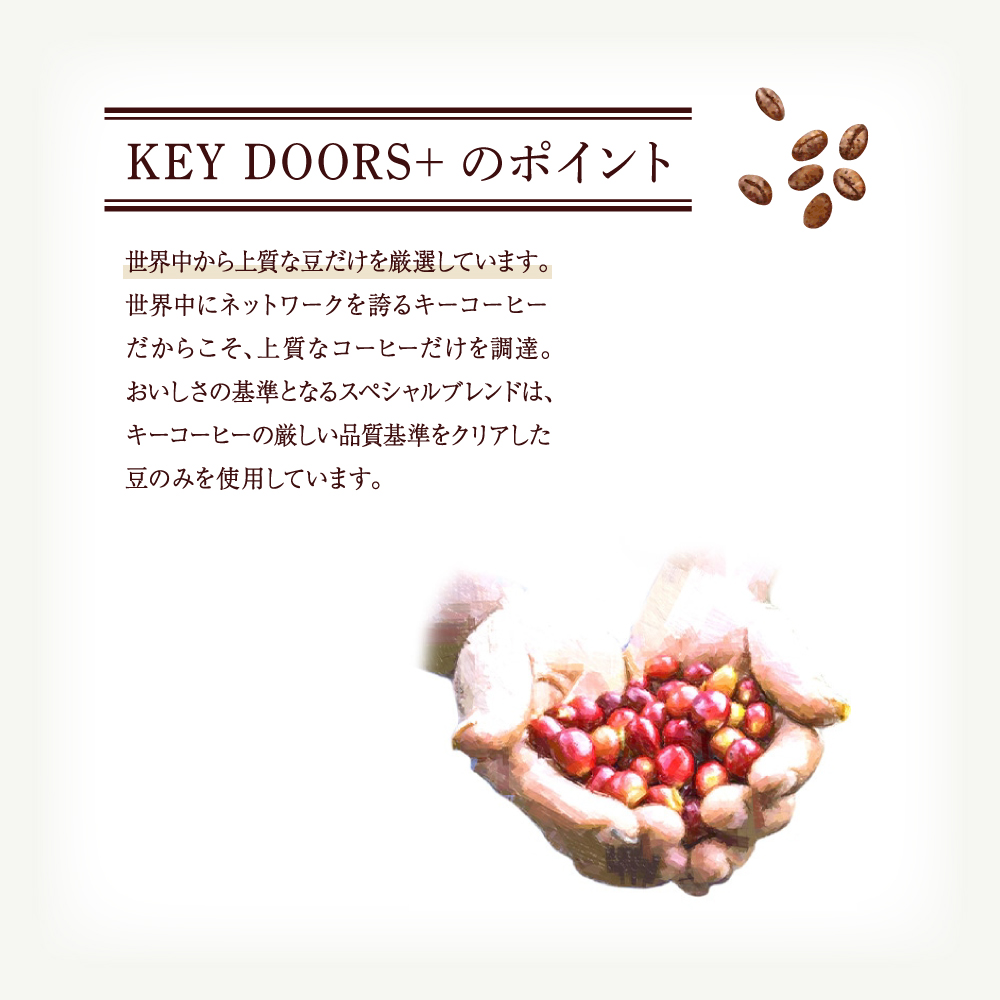 キーコーヒー KEY DOORS+ 3種のコーヒー粉セット スペシャルブレンド モカブレンド キリマンジャロブレンド 180g 6袋 コーヒー 粉 ドリップ セット 真空パック 