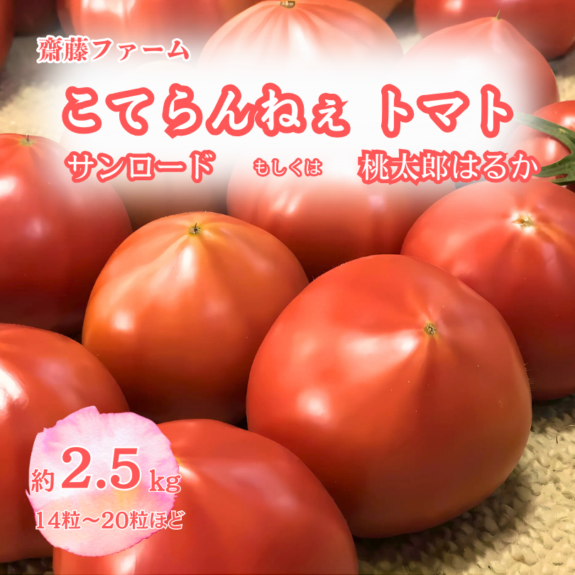 【期間限定】こてらんねぇトマト 14～20粒(約2.5kg・サンロードor桃太郎はるか)(F26)