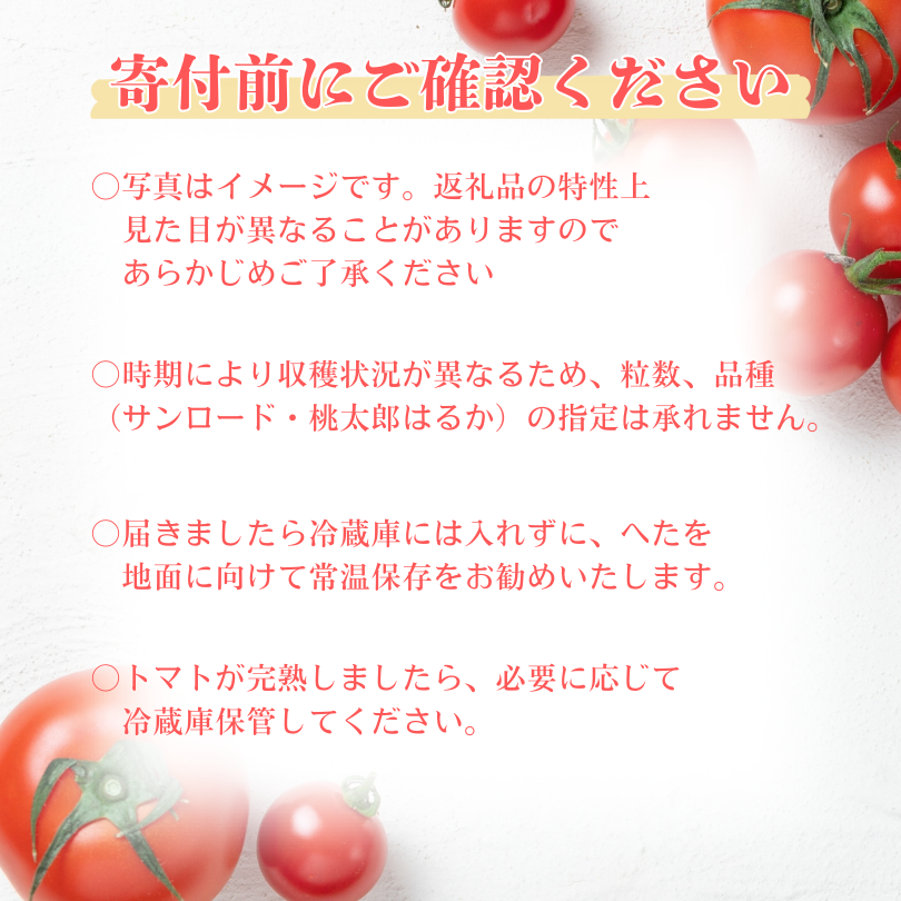 【期間限定】こてらんねぇトマト 14～20粒(約2.5kg・サンロードor桃太郎はるか)(F26)