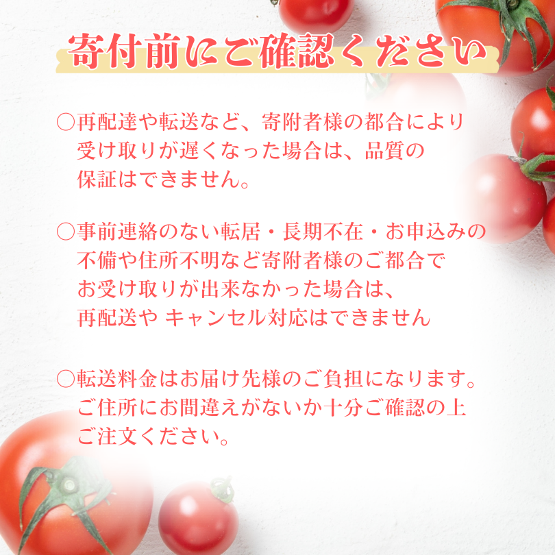 【期間限定】こてらんねぇトマト 14～20粒(約2.5kg・サンロードor桃太郎はるか)(F26)