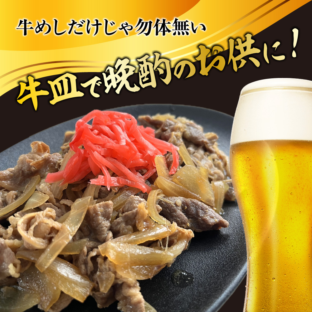 松屋 牛丼 エスフーズ コラボ 牛めし 10袋 135g 牛肉 冷凍 新生活 夜食 個包装 丼 便利 簡単 パウチ 湯煎 電子レンジ レトルト 肉 惣菜 調理済み 加工品 おかず 晩ごはん 牛肉 便利 簡単調理 大容量 長期保存