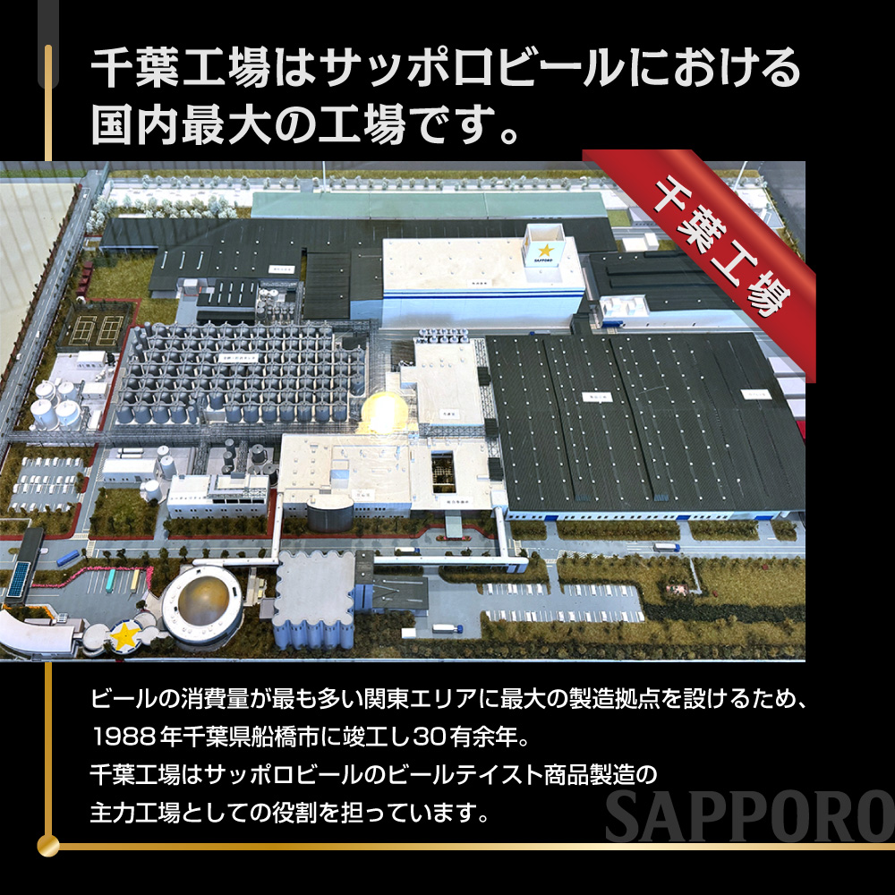 【6か月定期便】サッポロ ビール エビス ヱビス 500ml×24本 千葉県 船橋市 缶ビール お酒 6か月定期便