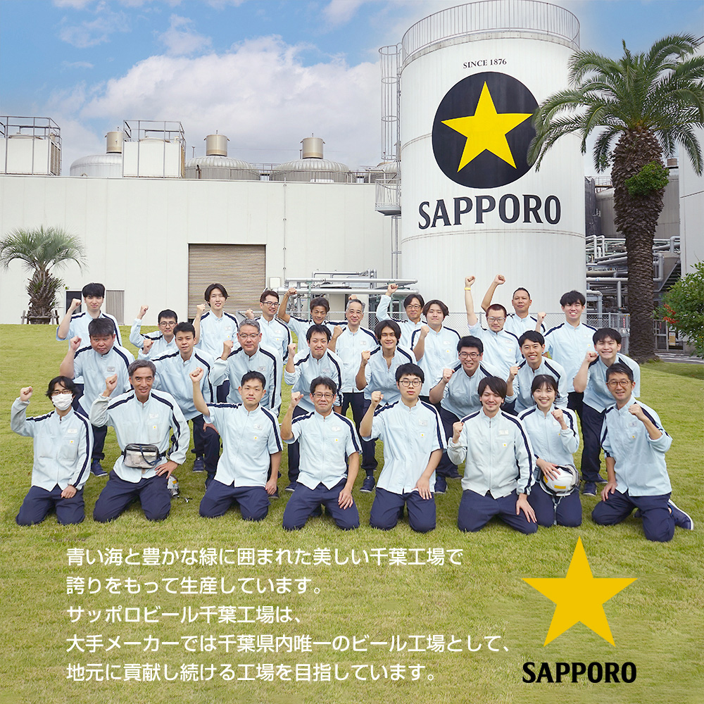 【12か月定期便】サッポロ ビール エビス ヱビス 500ml×24本 千葉県 船橋市 缶ビール お酒 12か月定期便