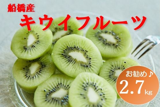 【12月発送分】船橋産キウイフルーツ2.8kg未追熟バラ詰め【傷み補償分約100ｇ込み】(E10)