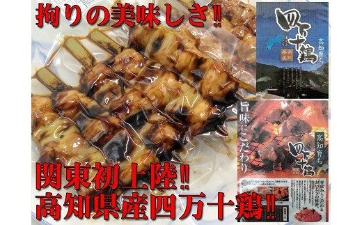 【国産】四万十鶏・二種盛焼き鳥(H10)