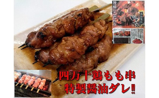 【国産】四万十鶏・二種盛焼き鳥(H10)