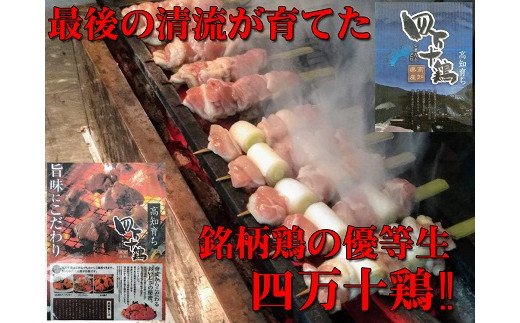 【国産】四万十鶏・二種盛焼き鳥(H10)