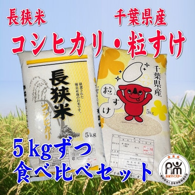 令和6年産 精米 長狭米コシヒカリ＆粒すけ各5kgセット【1578286】