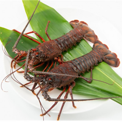 ãå
è¡äºçŽããéææ¥çºéãæŒåž«çŽé!åèçé€šå±±ç£ å€©ç¶ã掻ãäŒå¢æµ·èãçŽ1kg(ãµã€ãºãä»»ã)ãé
éäžå¯å°åïŒé¢å³¶ã»åæµ·éã»æ²çžçã»äžåœã»ååœã»ä¹å·ãã1676092ã