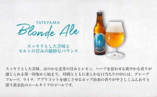 館山ブロンドエール 12本セット【配送不可地域：離島】【1578240】
