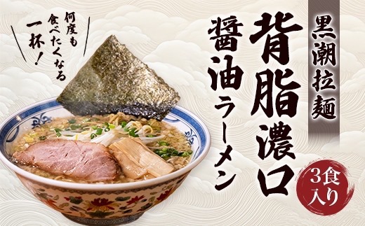 黒潮ラーメン　3食分【配送不可地域：離島】【1714439】