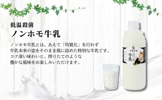 【新嘗祭奉納】須藤牧場の低温殺菌ノンホモ牛乳 900ml×2本【配送不可地域：離島】【1487101】