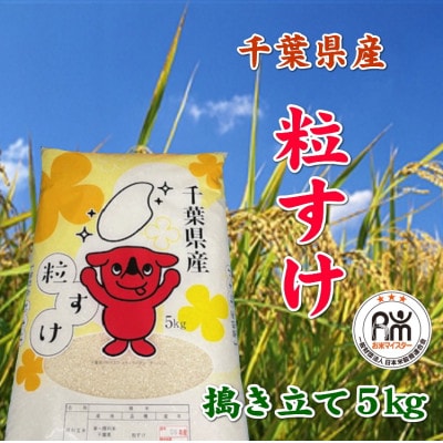 令和6年産千葉県産粒すけ精米5kg【1576623】