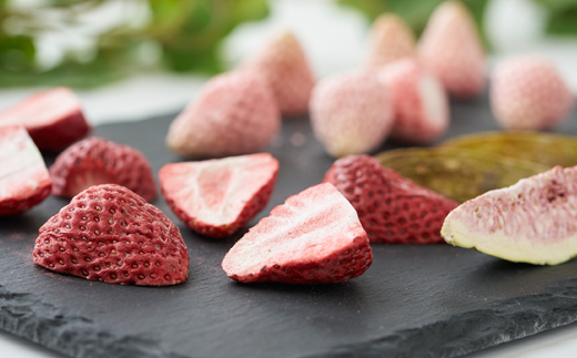 蜊玲袷邱城、ィ螻ア繝輔Μ繝シ繧コ繝峨Λ繧、繝輔Ν繝シ繝3遞ョ鬘 逑カ隧ー繧√1599715縲