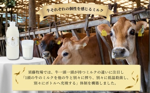 シングルミルク900ml 2本入【配送不可地域：離島】【1704142】