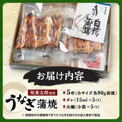 å€©ç¶ ã«è¿ã¥ãã究極ã®é€æ® é°»ãåæ±å€ªé 䜿çšã ããªã è²çŒ å°ãµã€ãº 80gååŸÃ5äž²ãé
éäžå¯å°åïŒé¢å³¶ãã1488907ã