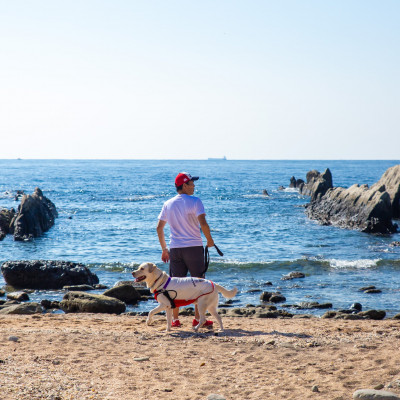 【宿泊3000円クーポン券】 DOG DEPT RESORT  館山犬石/安房白浜 共通チケット【1605627】