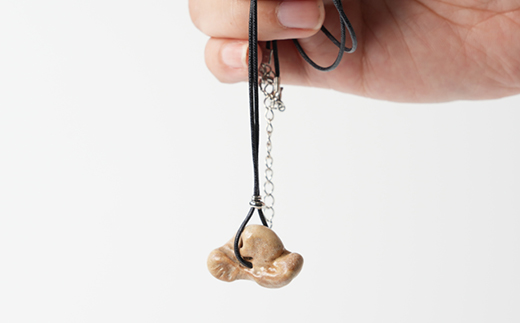 【思いやり型返礼品】イルカの耳骨ネックレス《限定10個》【1486472】