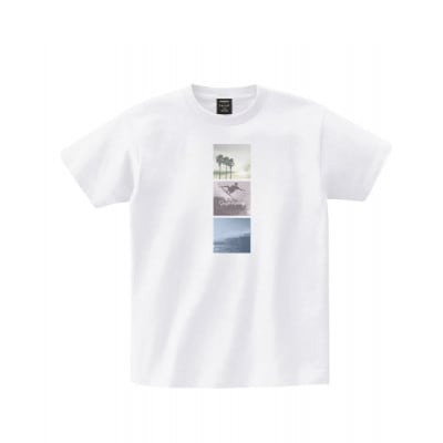 【館山市】TOPOS|Photo+T|LAT35°Nプロジェクト|Lサイズ【1758946】