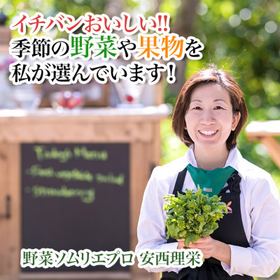 【毎月定期便】【中旬発送】こだわりの旬野菜BOX「リエビン」季節の野菜セット全6回【配送不可地域：離島・沖縄県】【4012343】