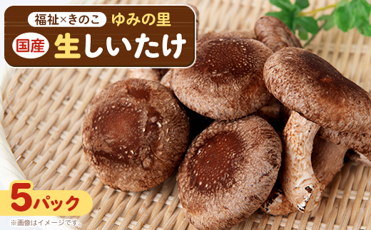 【農福連携】千葉県館山産 生しいたけ110g×5パック 就労継続支援A/B型併用事業所「ゆみの里」【配送不可地域：離島・沖縄県】【1486687】