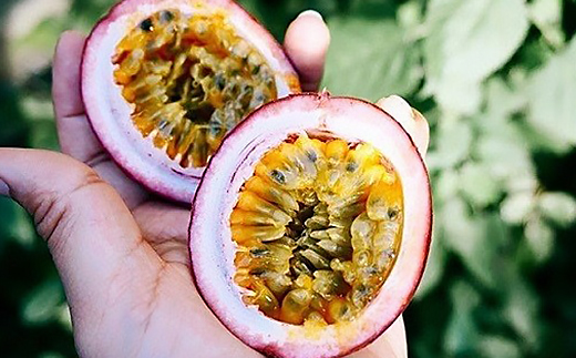 完熟パッションフルーツで作ったリリコイバター2個セット【1488748】