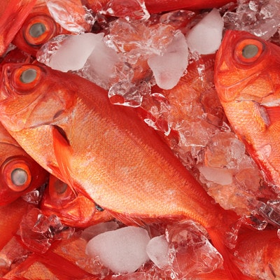 ãçšæä»ãåæ¿ç·é€šå±±ãç£å°çŽéãå°éç®é¯ããã¶ããã¶çšã¹ã©ã€ã¹ãé
éäžå¯å°åïŒé¢å³¶ãã1568584ã