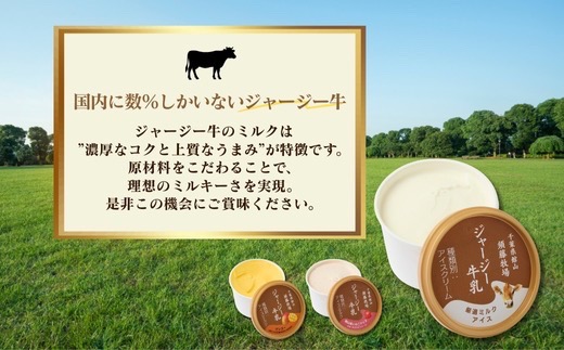 須藤牧場 館山市コラボカップアイス 6個セット(ミルク・いちご・マンゴー　各2個)【配送不可地域：離島】【1486763】