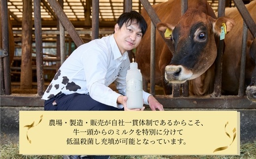 シングルミルク900ml 2本入【配送不可地域：離島】【1704142】